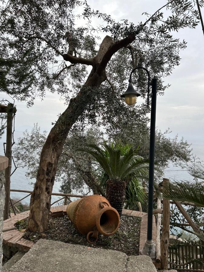 Villa Hermosa Costiera Amalfitana Eksteriør bilde